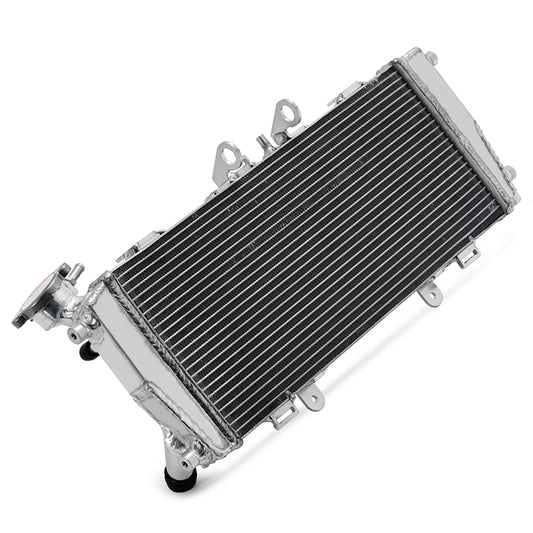 For BMW R1200R 2014 2016-2018 / R1200RS 2015-2018 / R1250R R1250RS 2018-2024  Aluminum Water Cooling Radiator