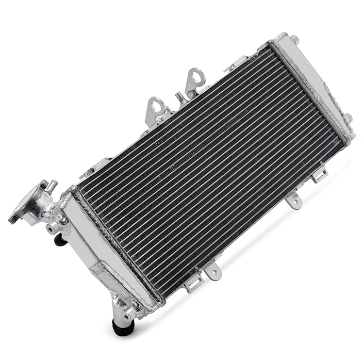 For BMW R1200R 2014 2016-2018 / R1200RS 2015-2018 / R1250R R1250RS 2018-2025  Aluminum Water Cooling Radiator