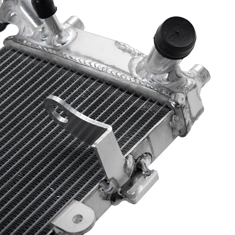 For BMW R1200R 2014 2016-2018 / R1200RS 2015-2018 / R1250R R1250RS 2018-2024  Aluminum Water Cooling Radiator