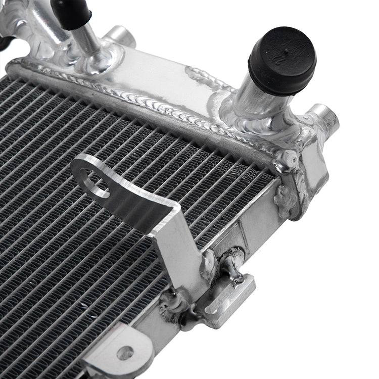 For BMW R1200R 2014 2016-2018 / R1200RS 2015-2018 / R1250R R1250RS 2018-2025  Aluminum Water Cooling Radiator