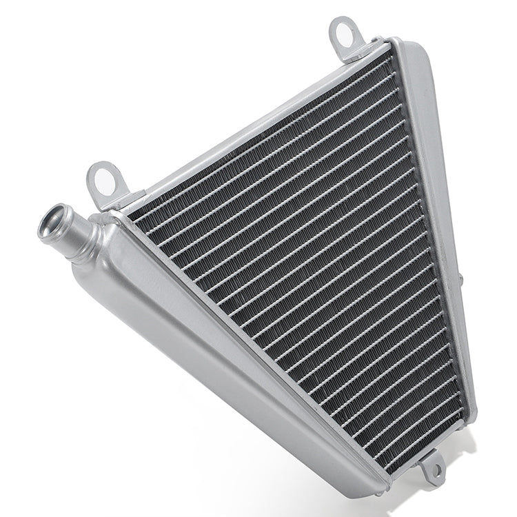 For Ducati Streetfighter V2 22-23 Panigale 899 959 1299 1199 1199S 1199R 2012-2019 Panigale V2 2020-2023 Aluminum Radiator