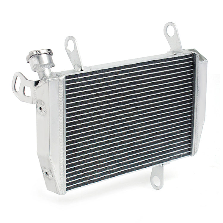Motorcycle Aluminum Radiator for Ducati Hyperstrada 821 Hypermotard 821 2013-2015