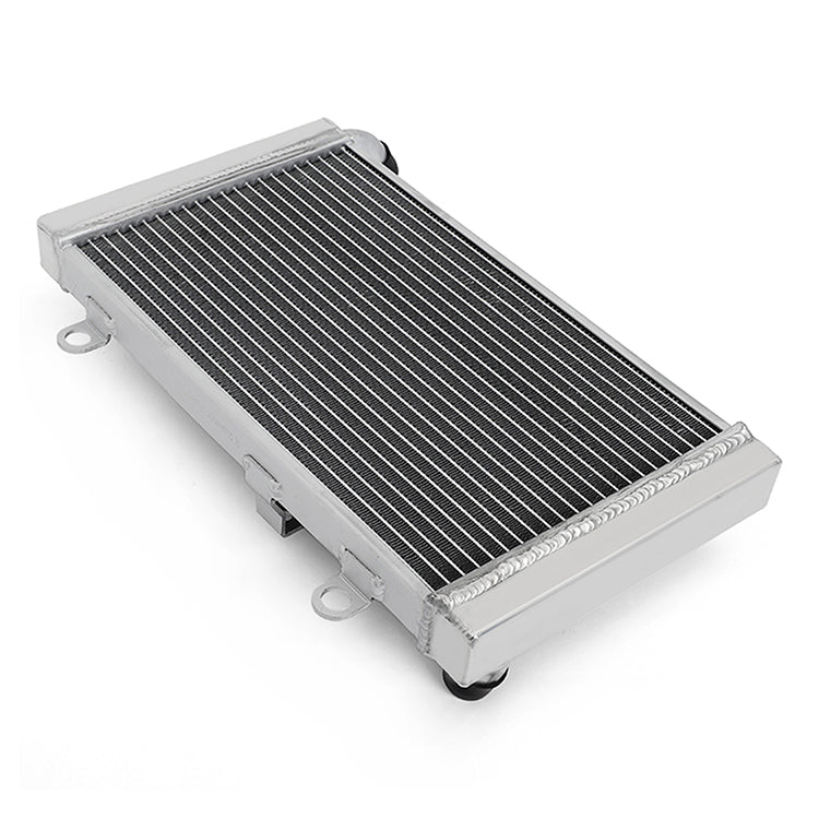 Aluminum Motorcycle Radiator for Honda CBF1000 ABS 2006-2012