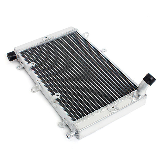 Motorcycle Aluminum Radiator for Yamaha FZS1000 Fazer 2001-2005