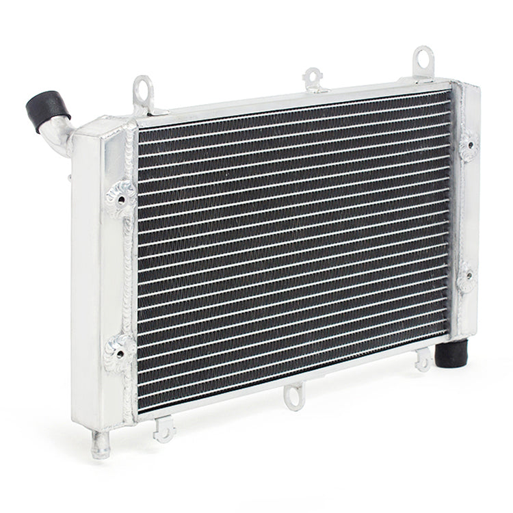 Motorcycle Aluminum Radiator for Yamaha FZS1000 Fazer 2001-2005