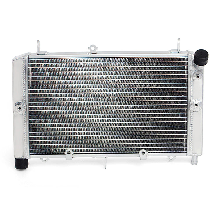 Motorcycle Aluminum Radiator for Yamaha FZS1000 Fazer 2001-2005