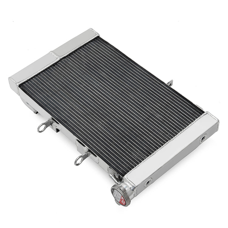 Aluminum Motorcycle Radiator for Triumph Trident 660 2020-2024 ...