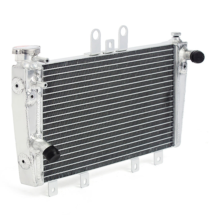 Aluminum Motorcycle Engine Cooler Radiator for Triumph Speed Triple 1050 2005-2010