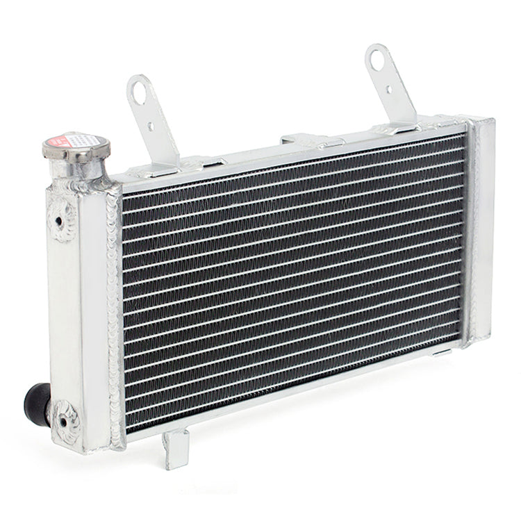 Aluminum Motorcycle Radiator for Suzuki SV1000 2003-2005