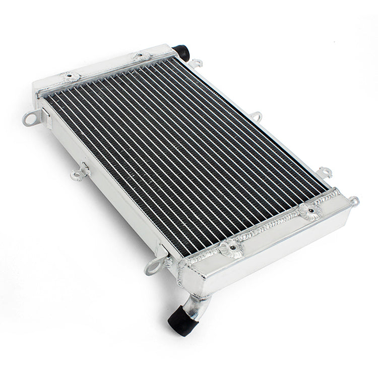 Motorcycle Aluminum Radiator for Yamaha FZS1000S Fazer 2003-2005