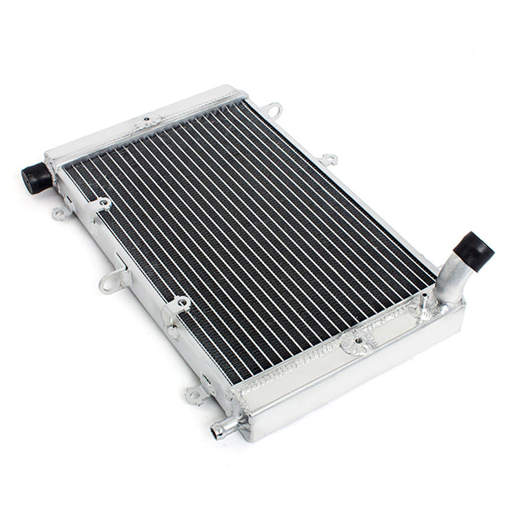 Motorcycle Aluminum Radiator for Yamaha FZS1000S Fazer 2003-2005