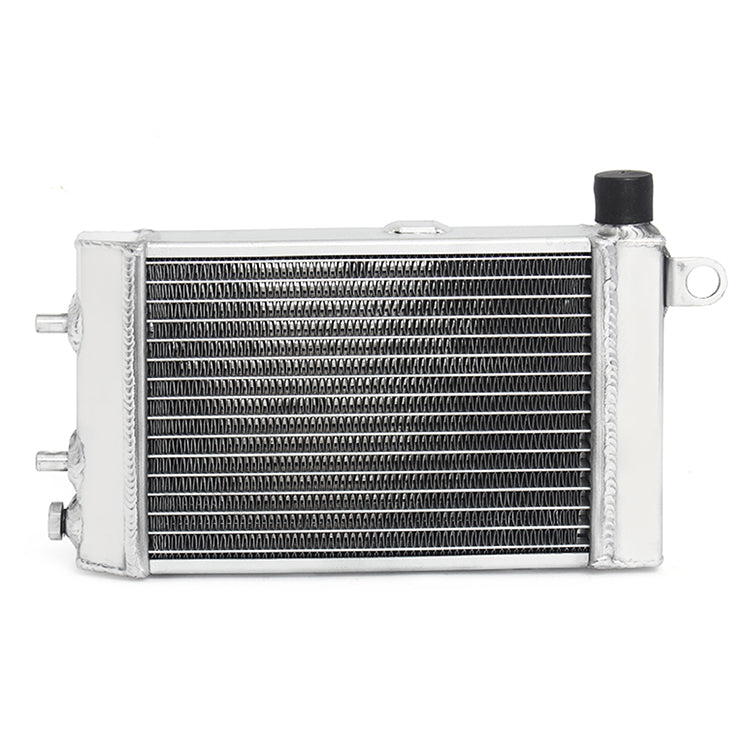 Motorcycle Aluminum Water Cooler Radiator for Aprilia Tuono 1000 L/H 2002-2005