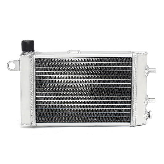 Motorcycle Aluminum Water Cooler Radiator for Aprilia Tuono 1000 R/H 2002-2005