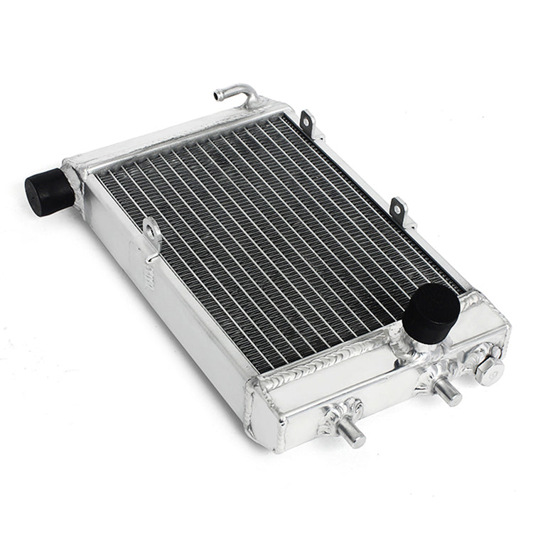 Motorcycle Aluminum Water Cooler Radiator for Aprilia Tuono 1000 R/H 2002-2005