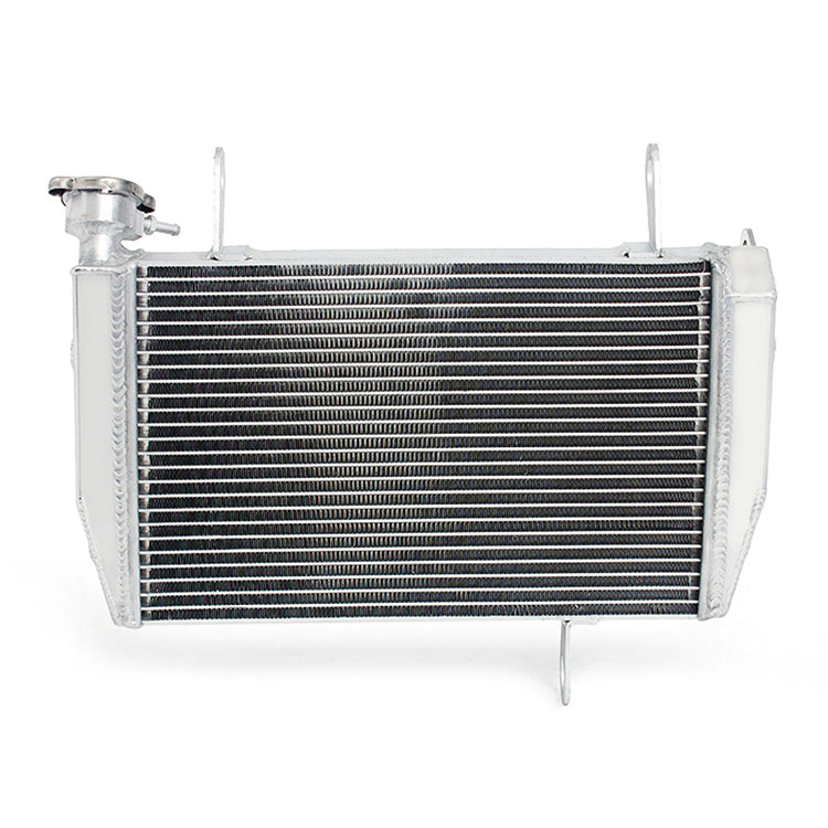 Motorcycle Aluminum Radiator for Ducati Hyperstrada 821 Hypermotard 821 2013-2015